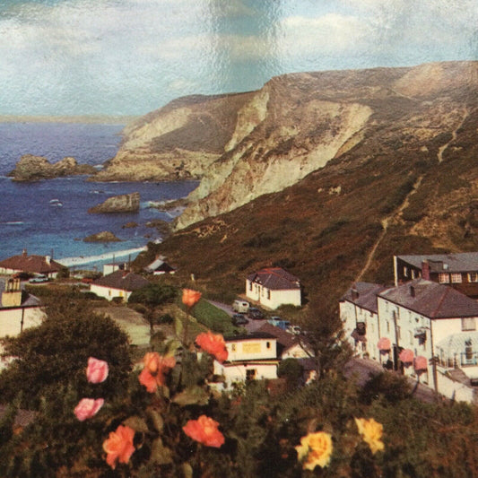 Postcard Cornwall Cliffs Seascape Murray King St Agnes Cornish Riviera View