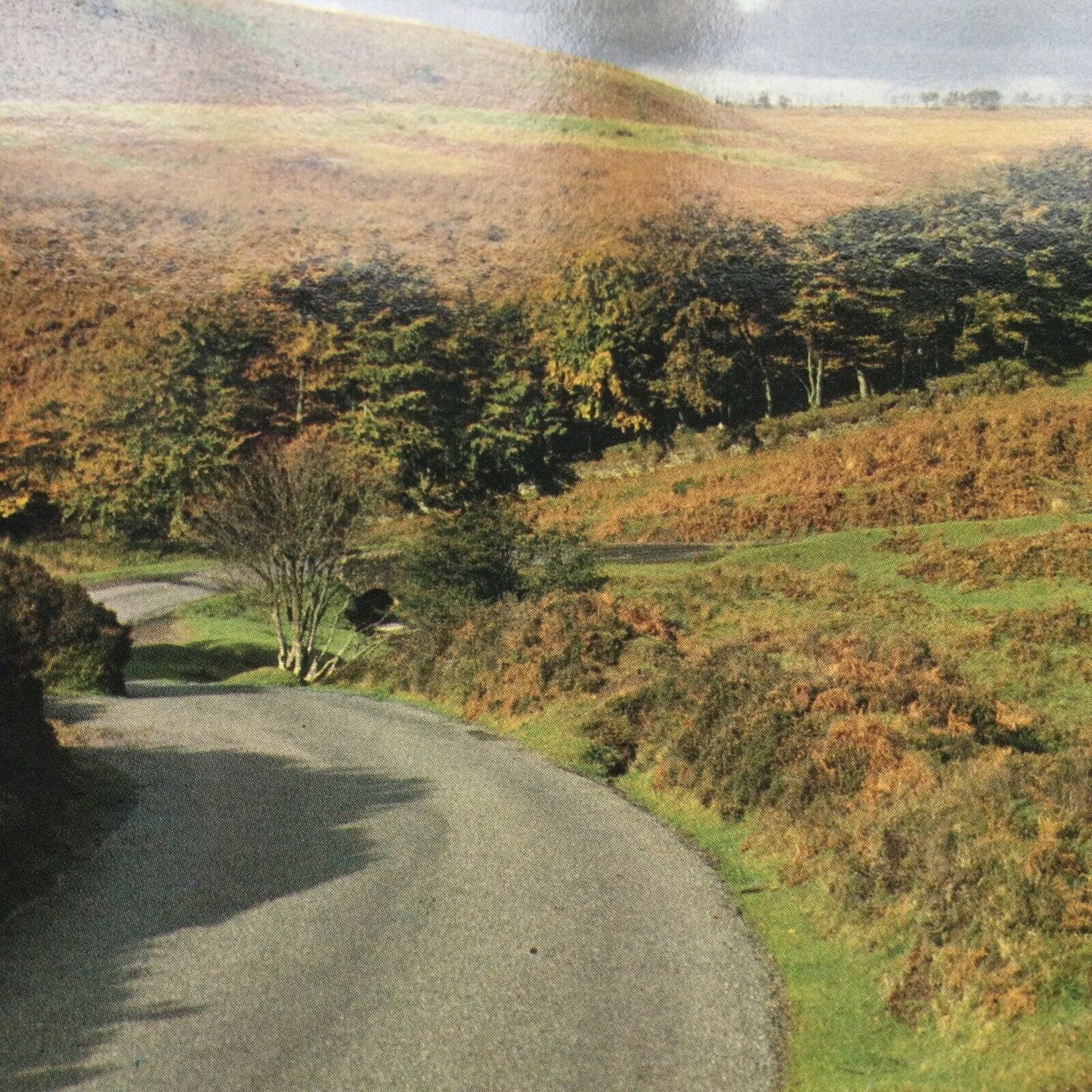 Postcard Exmoor Autumn Colour Chetsford Bridge National Park Stormy Hills