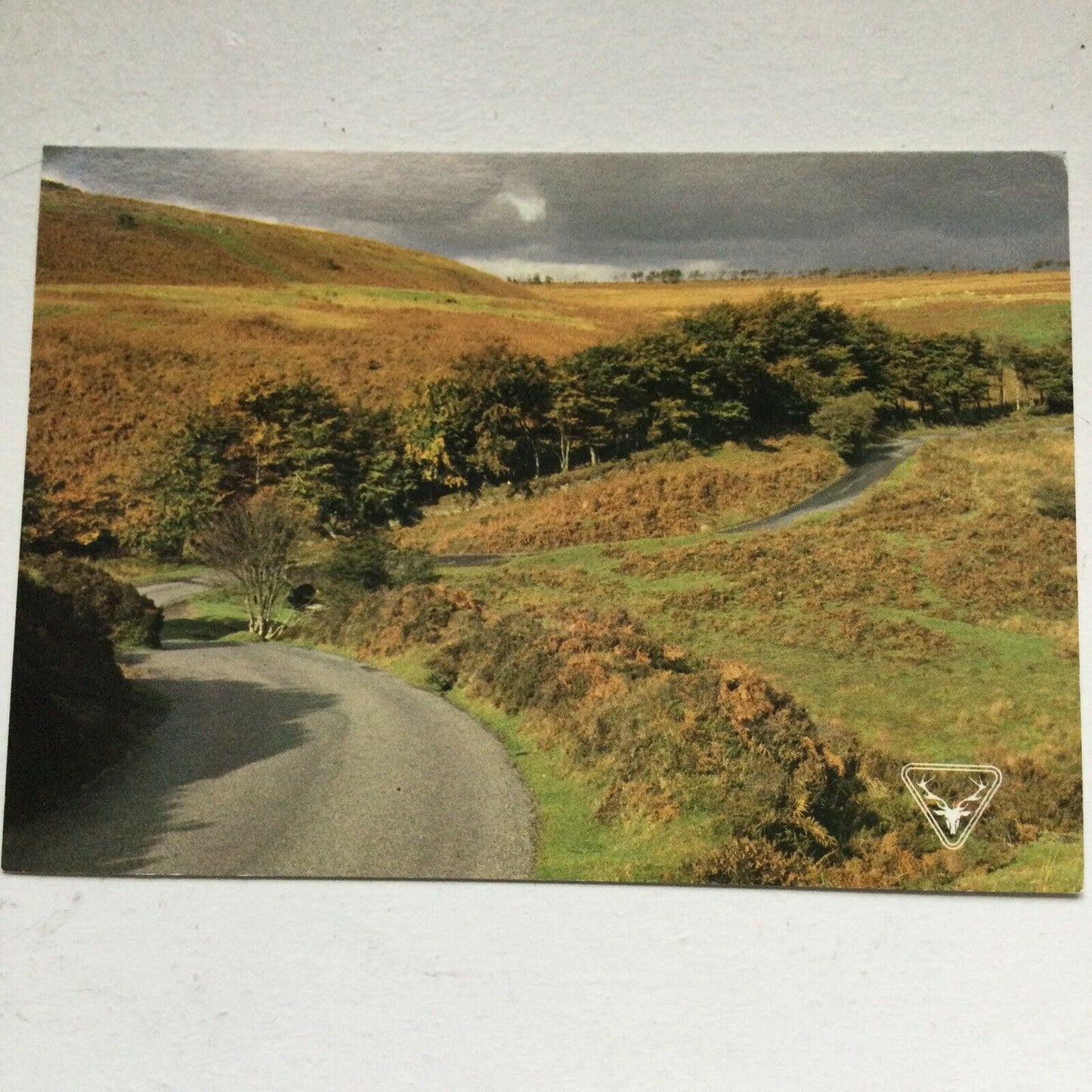 Postcard Exmoor Autumn Colour Chetsford Bridge National Park Stormy Hills