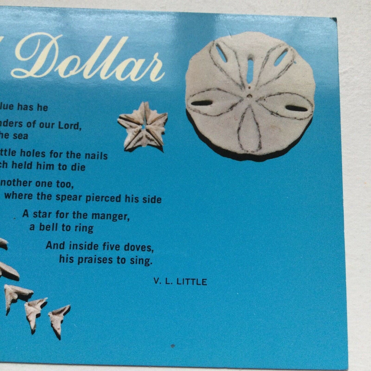 Postcard Legend Of The Sand Dollar V.L. Little No Intrinsic Value Has He Only