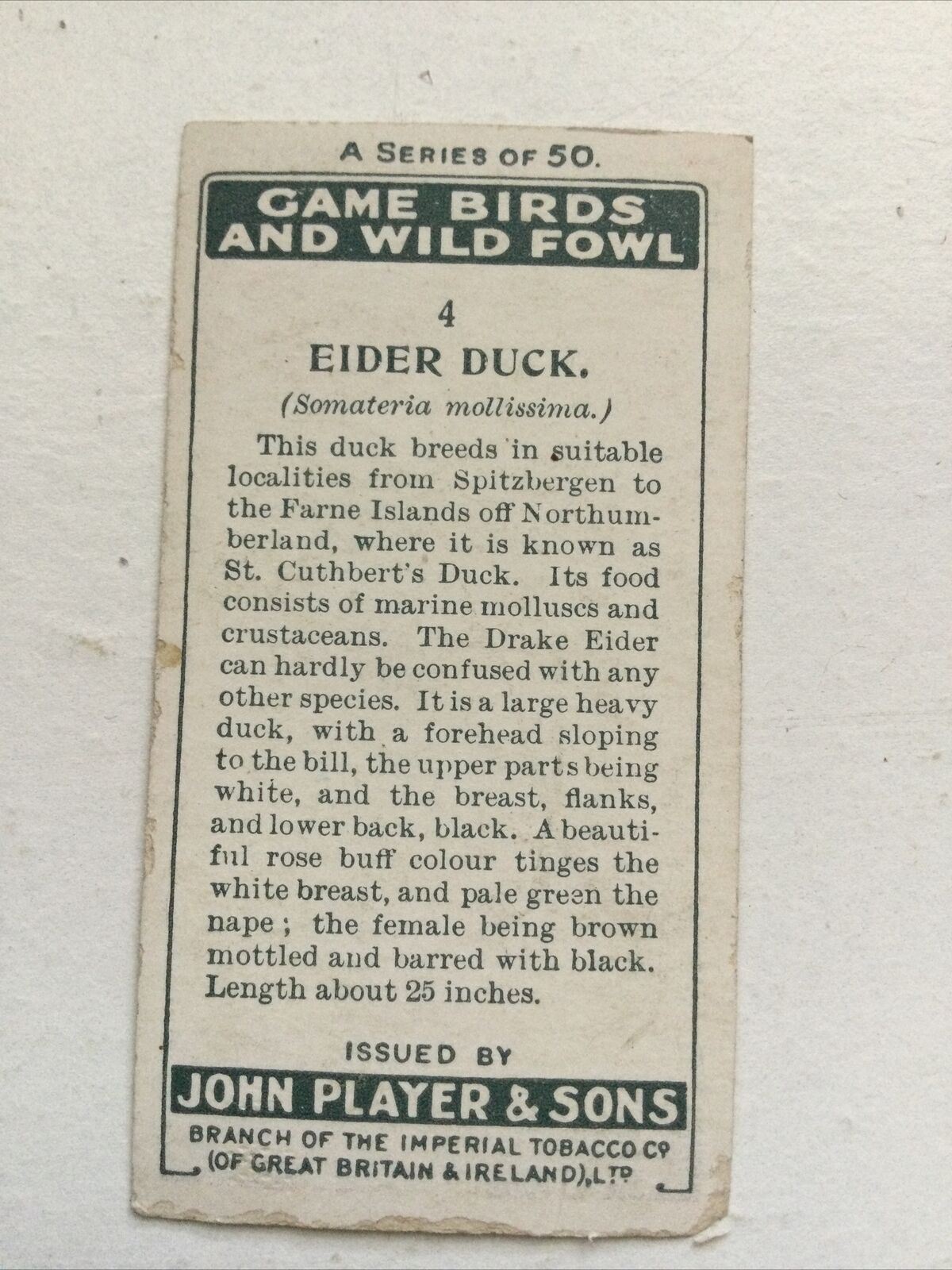 Players Cigarettes Card Game Birds & Wild Fowl Eider Duck no4 St Cuthberts Duck