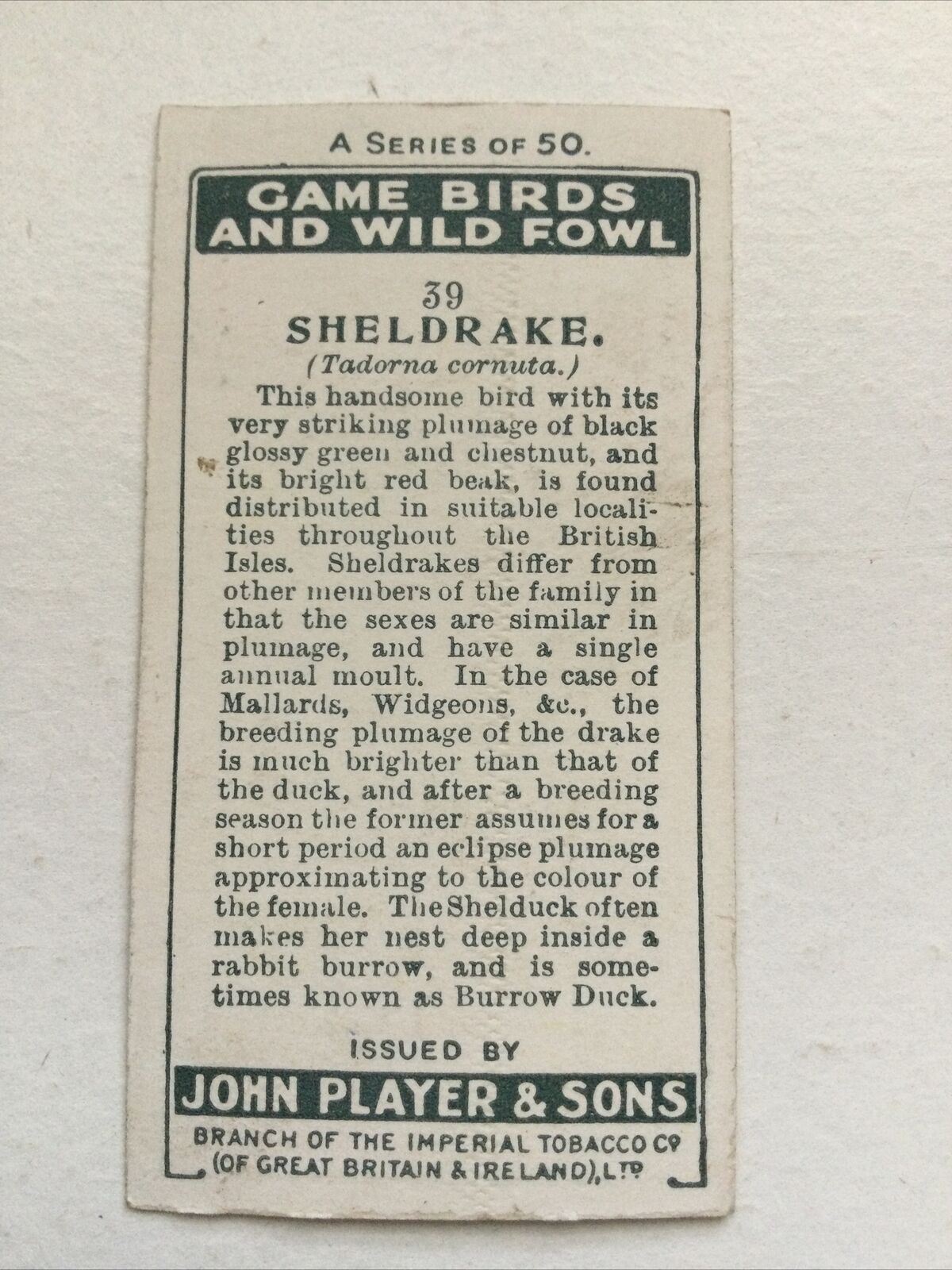 Players Cigarettes Card Game Birds & Wild Fowl Sheldrake no.39 Burrow Duck