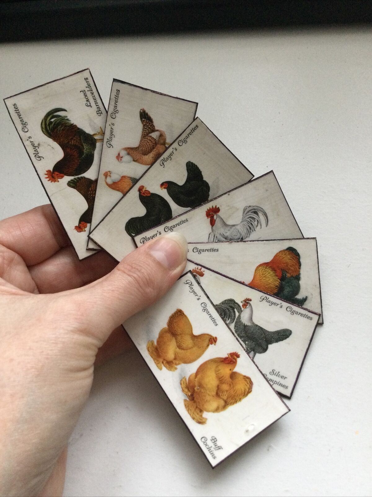 Set of 7 fridge Magnets Made From Vintage  Cigarette Cards Poultry Hens 1931