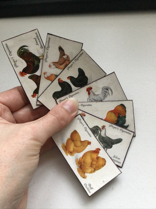 Set of 7 fridge Magnets Made From Vintage  Cigarette Cards Poultry Hens 1931