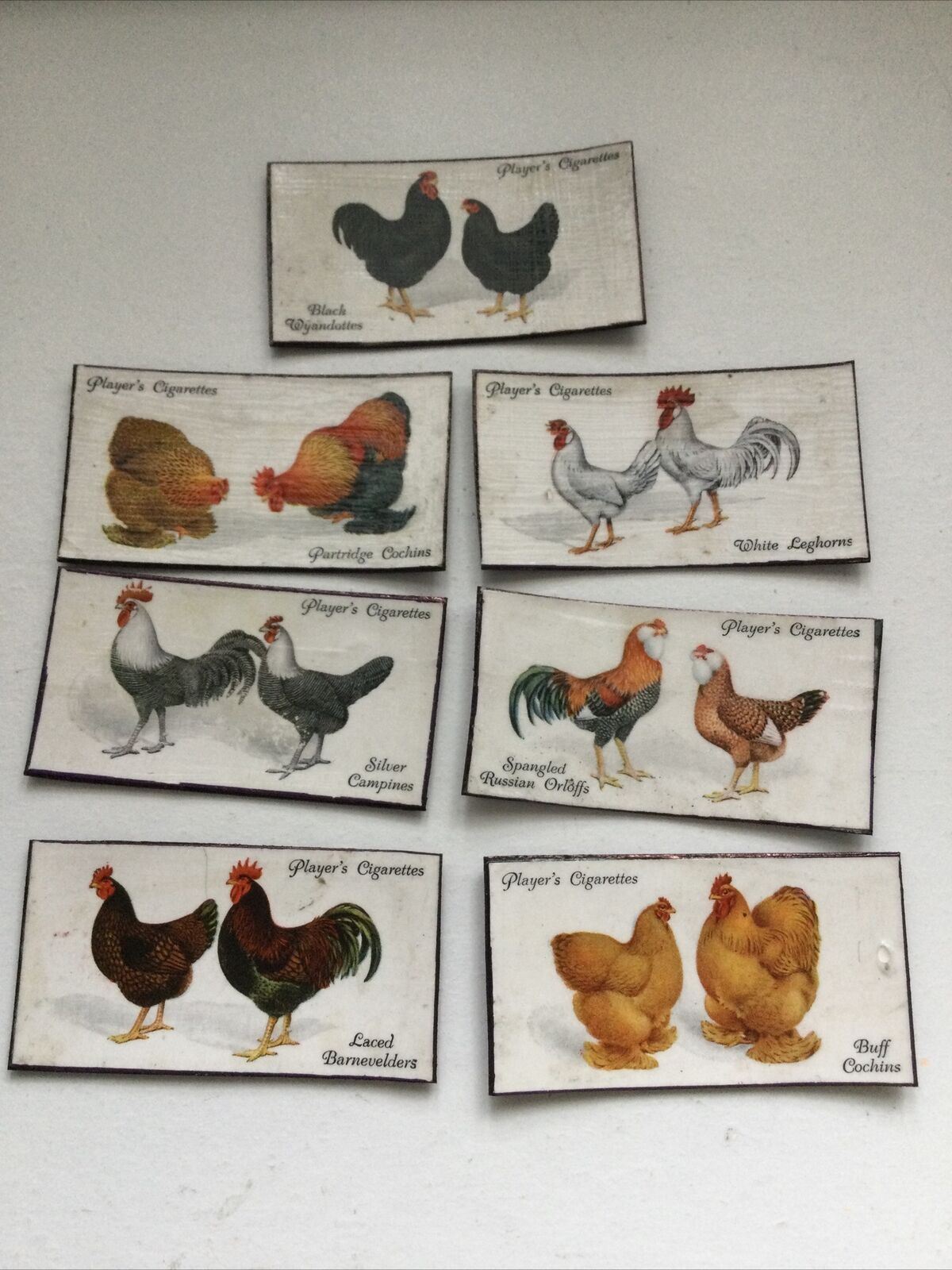 Set of 7 fridge Magnets Made From Vintage  Cigarette Cards Poultry Hens 1931