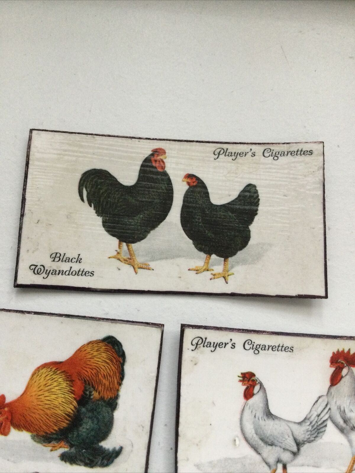 Set of 7 fridge Magnets Made From Vintage  Cigarette Cards Poultry Hens 1931