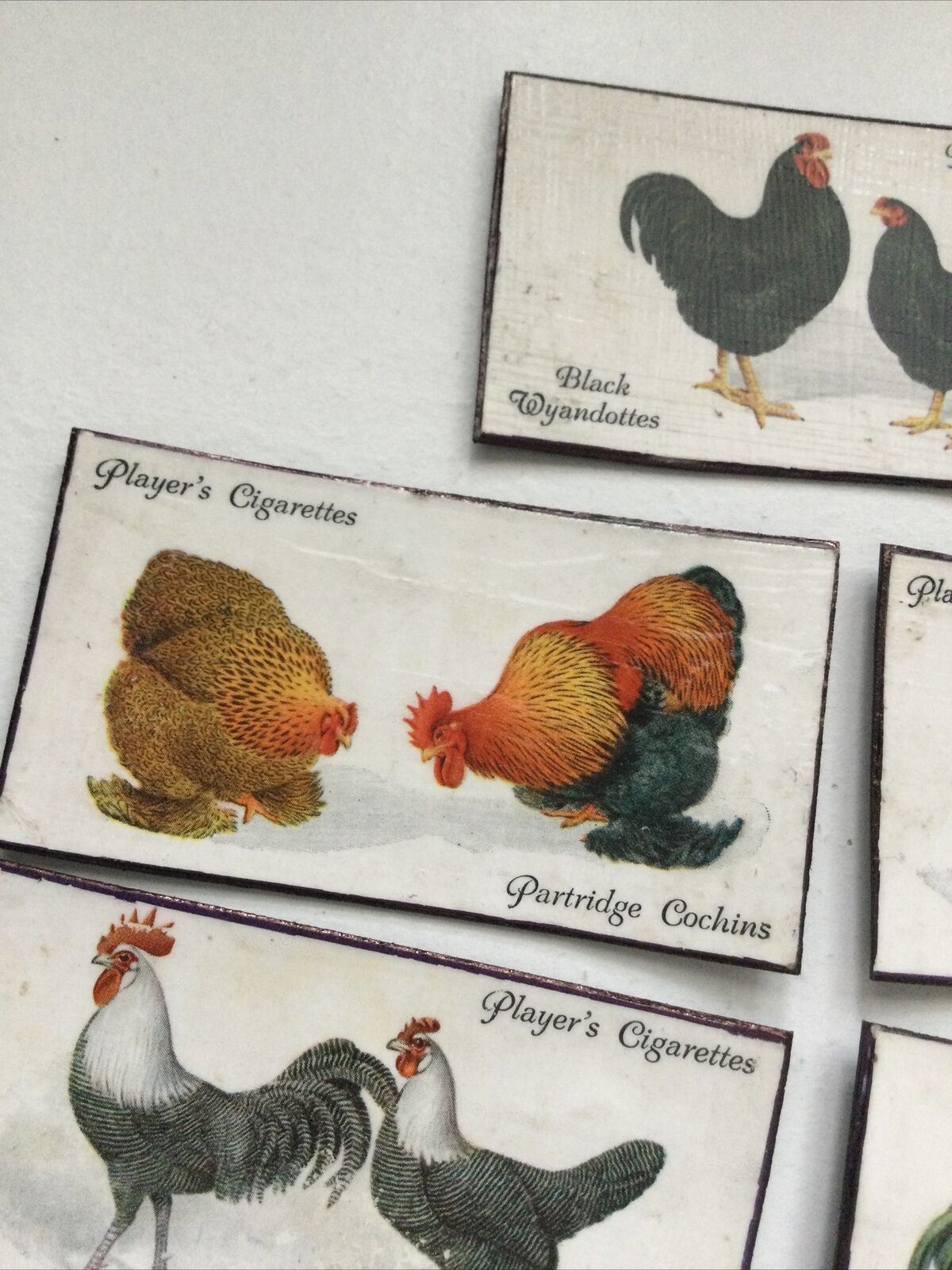 Set of 7 fridge Magnets Made From Vintage  Cigarette Cards Poultry Hens 1931