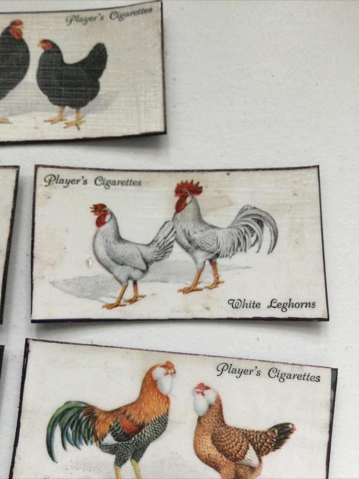 Set of 7 fridge Magnets Made From Vintage  Cigarette Cards Poultry Hens 1931