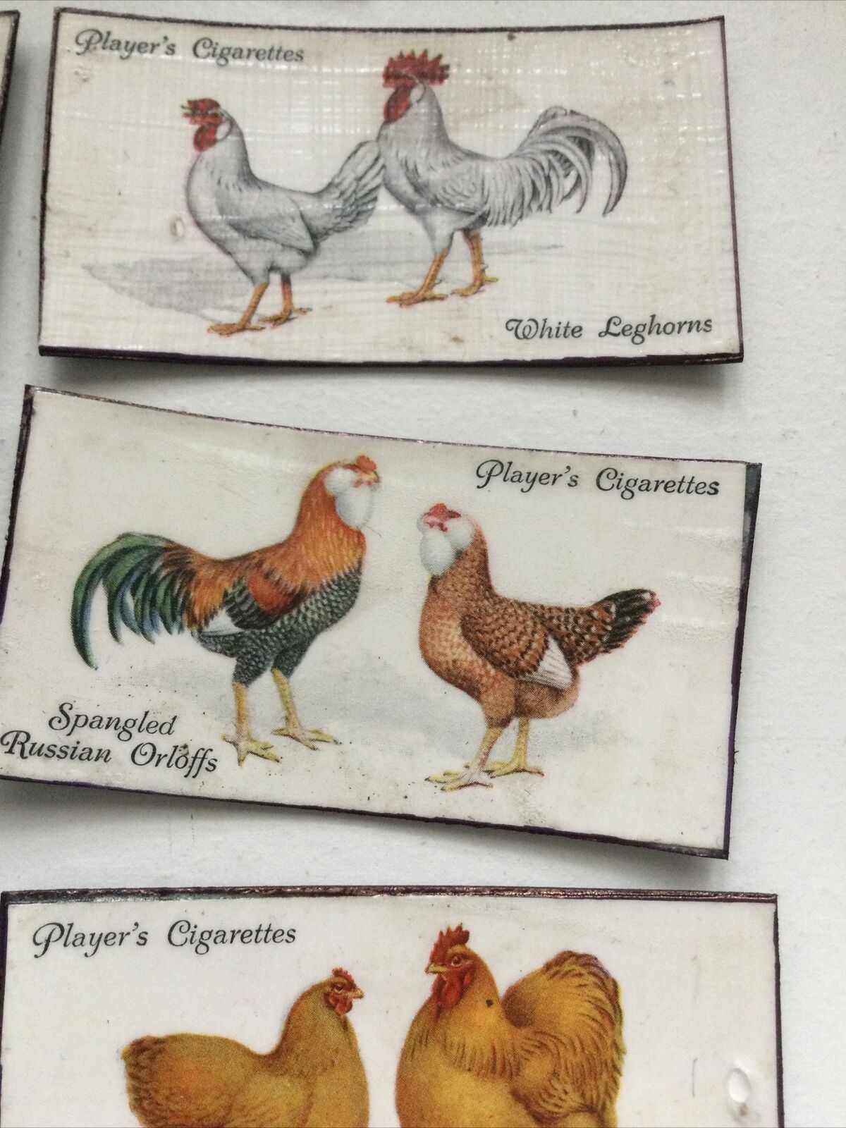 Set of 7 fridge Magnets Made From Vintage  Cigarette Cards Poultry Hens 1931