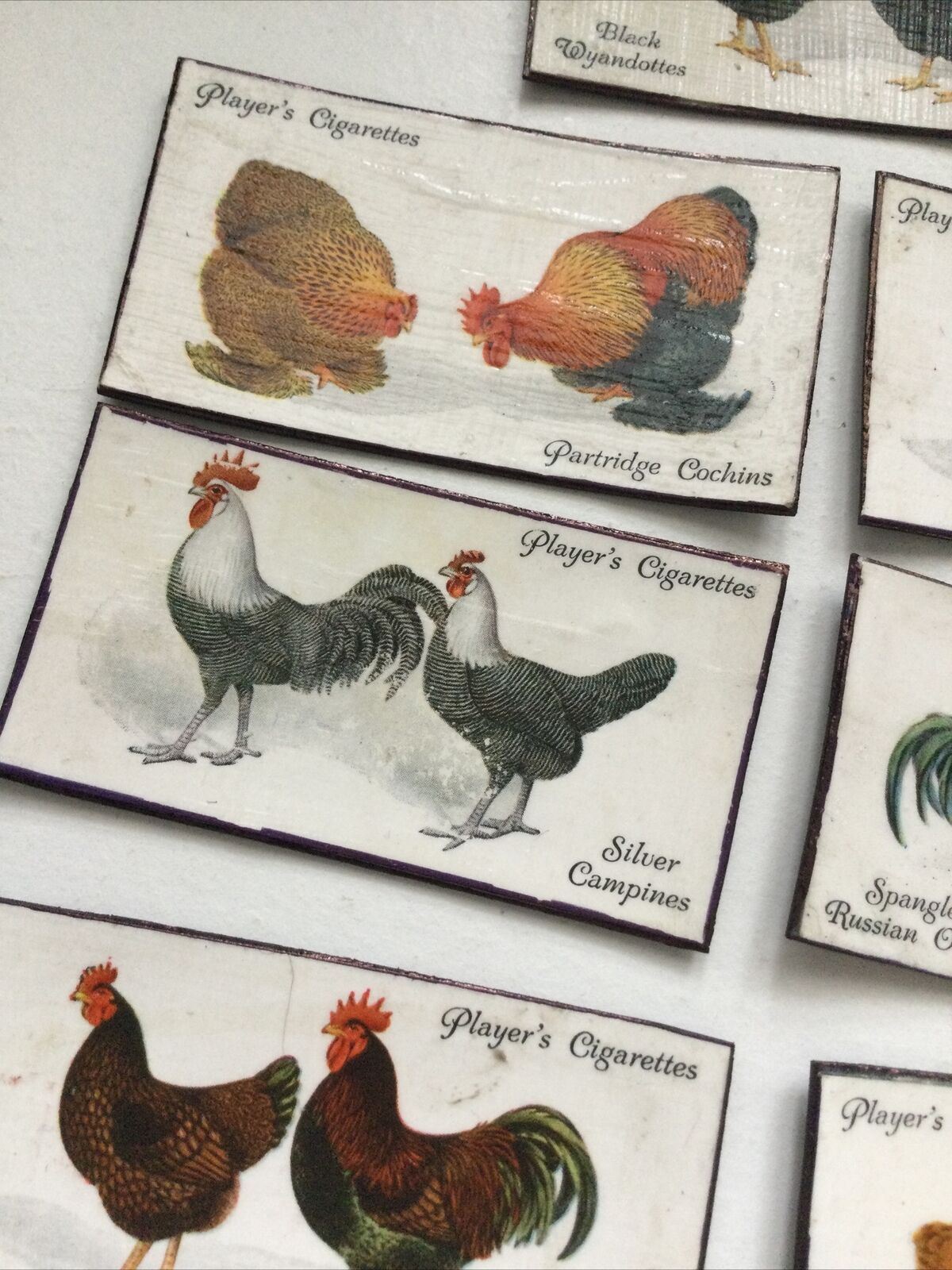 Set of 7 fridge Magnets Made From Vintage  Cigarette Cards Poultry Hens 1931