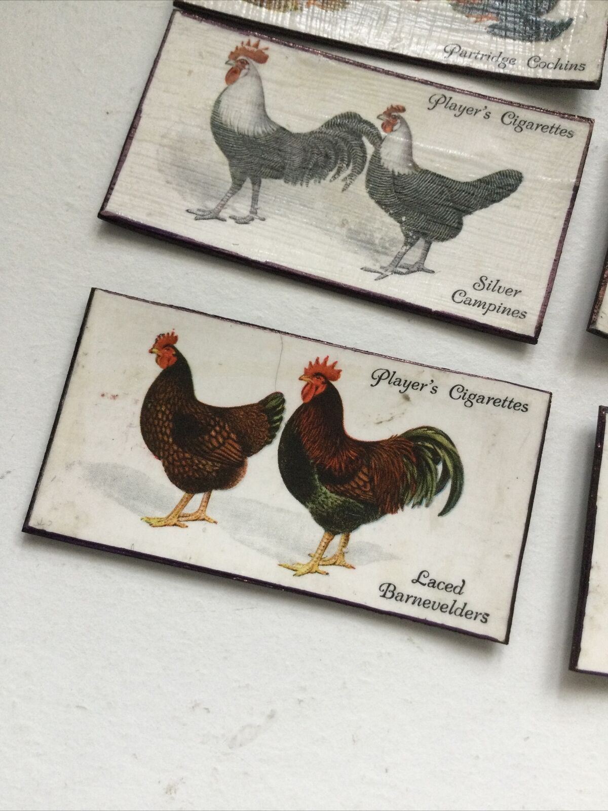 Set of 7 fridge Magnets Made From Vintage  Cigarette Cards Poultry Hens 1931