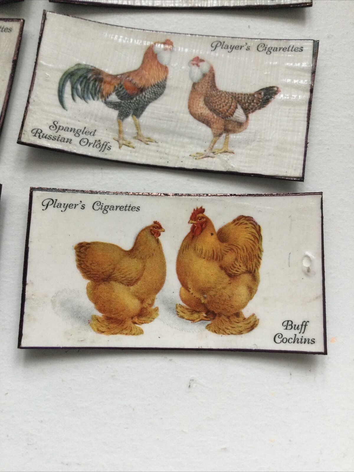 Set of 7 fridge Magnets Made From Vintage  Cigarette Cards Poultry Hens 1931