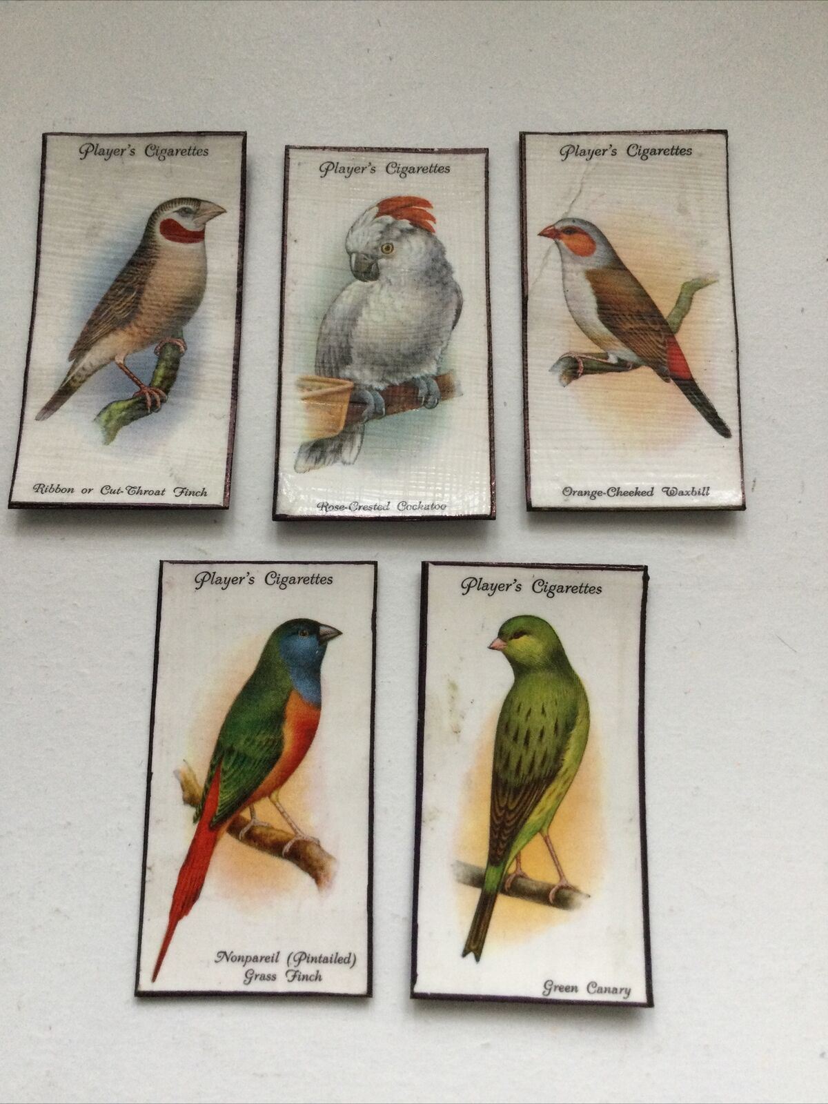 Set of 5 fridge Magnets Colourful Birds Made From Vintage Cigarette Cards 1933