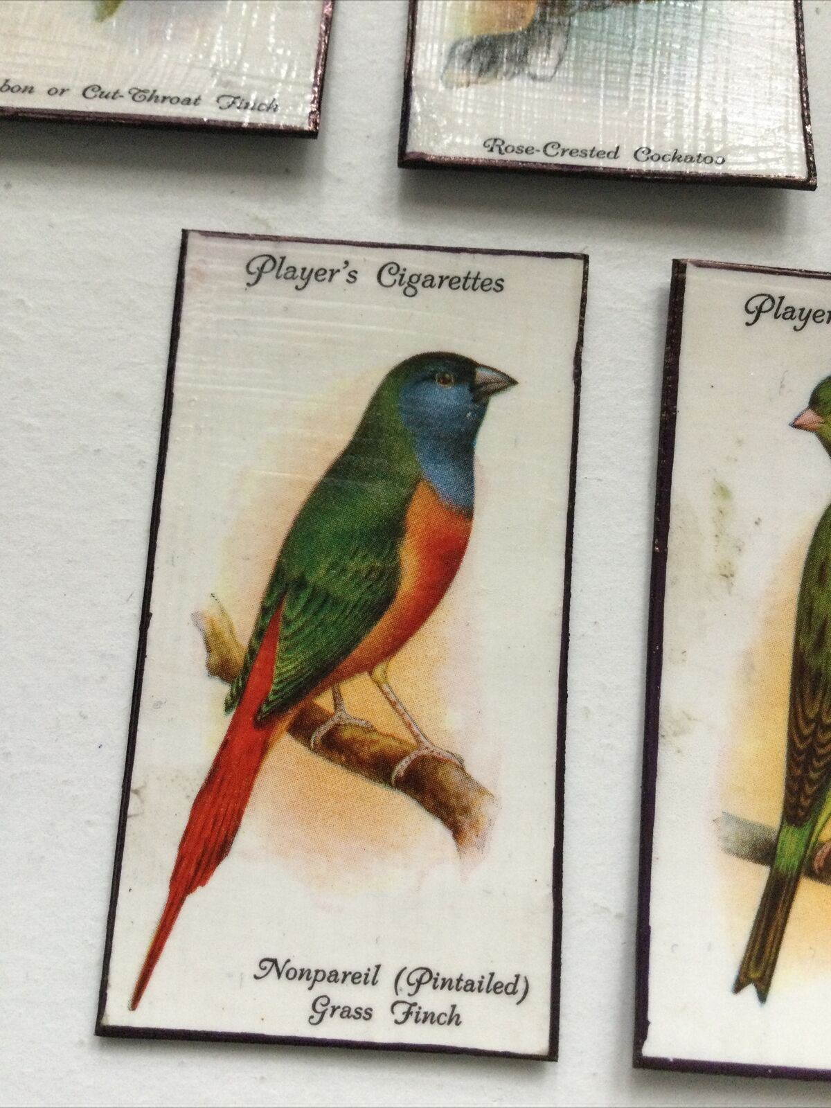 Set of 5 fridge Magnets Colourful Birds Made From Vintage Cigarette Cards 1933