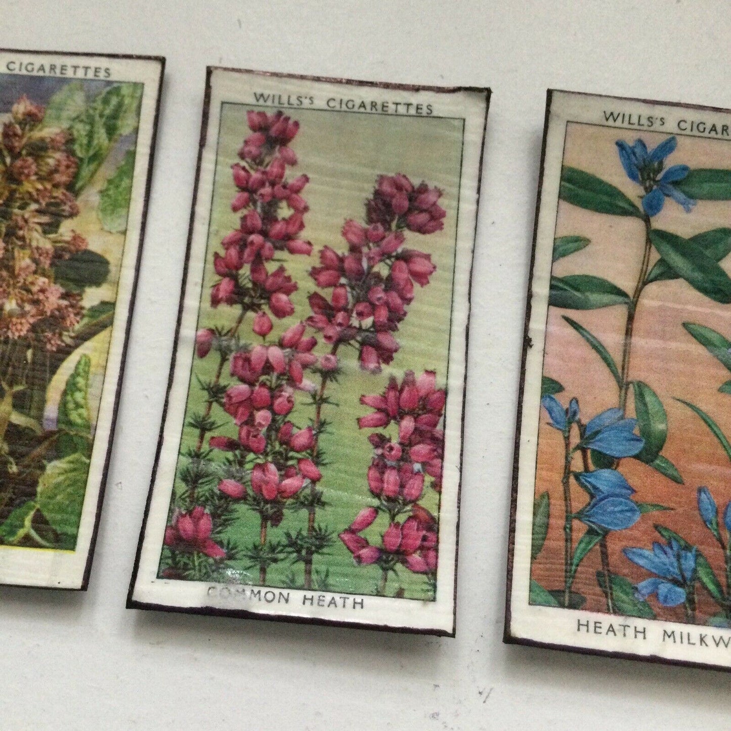 3 x Fridge Magnets Wild Flowers made from vintage 20s + 30s cigarette cards