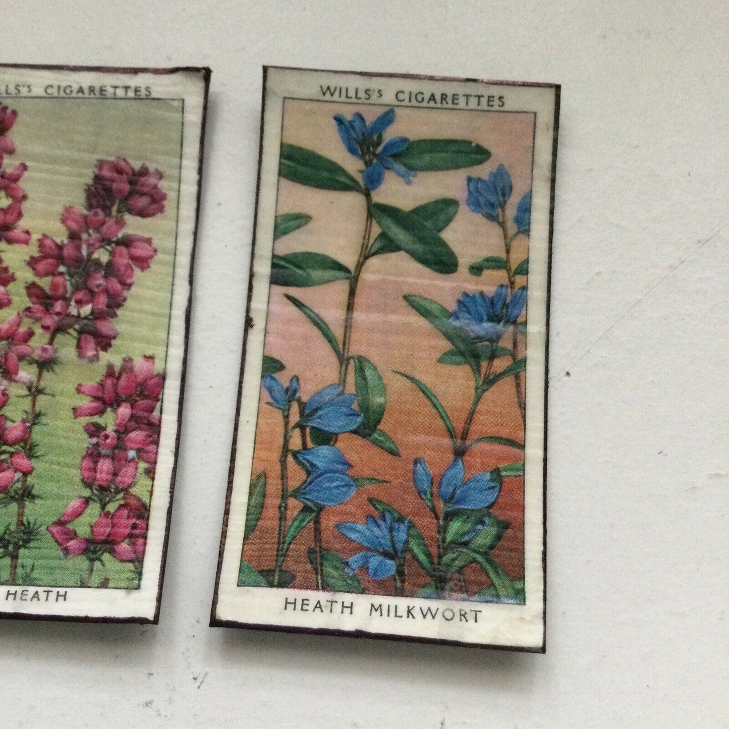 3 x Fridge Magnets Wild Flowers made from vintage 20s + 30s cigarette cards