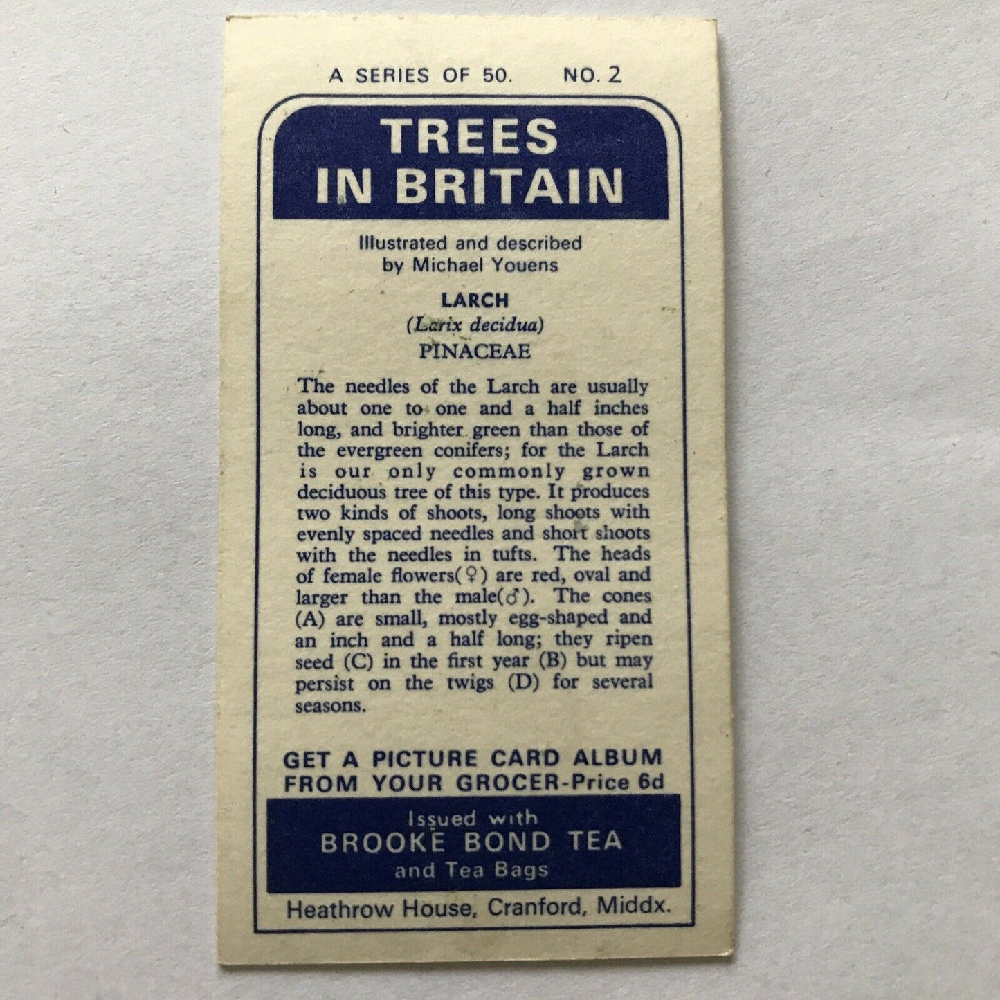 Brooke Bond Tea Card Trees In Britain No2 Larch - Flowers And Cones