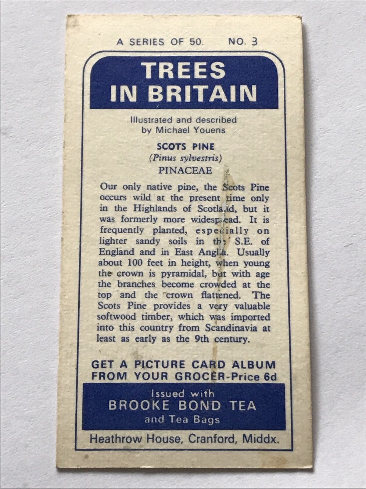 Brooke Bond Tea Card Trees In Britain No 3 Scots Pine 1960s Collectable