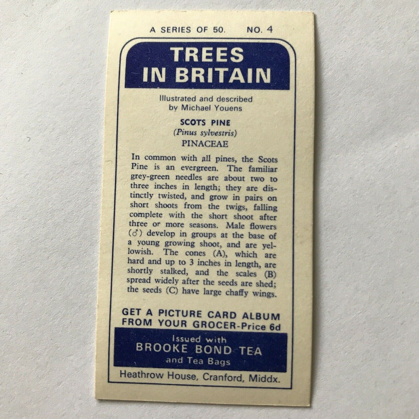 Brooke Bond Tea Card Trees In Britain No 4 Scots Pine 1960s Collectable