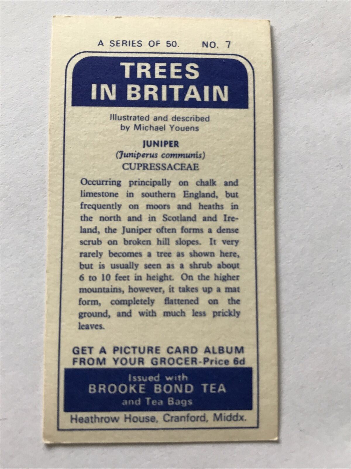 Brooke Bond Tea Card Trees In Britain No 7 Juniper 1960s Collectable