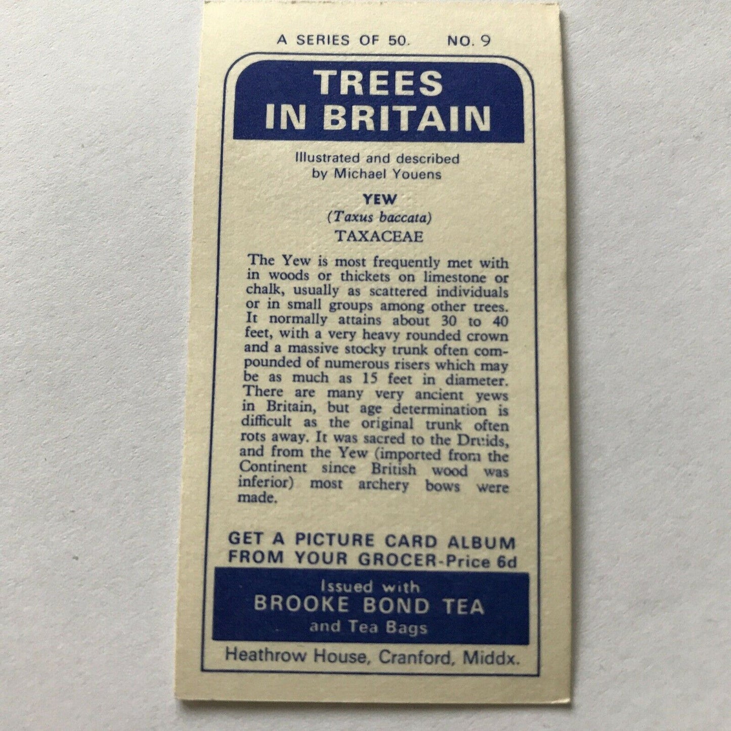 Brooke Bond Tea Card Trees In Britain No 9 Yew 1960s Collectable