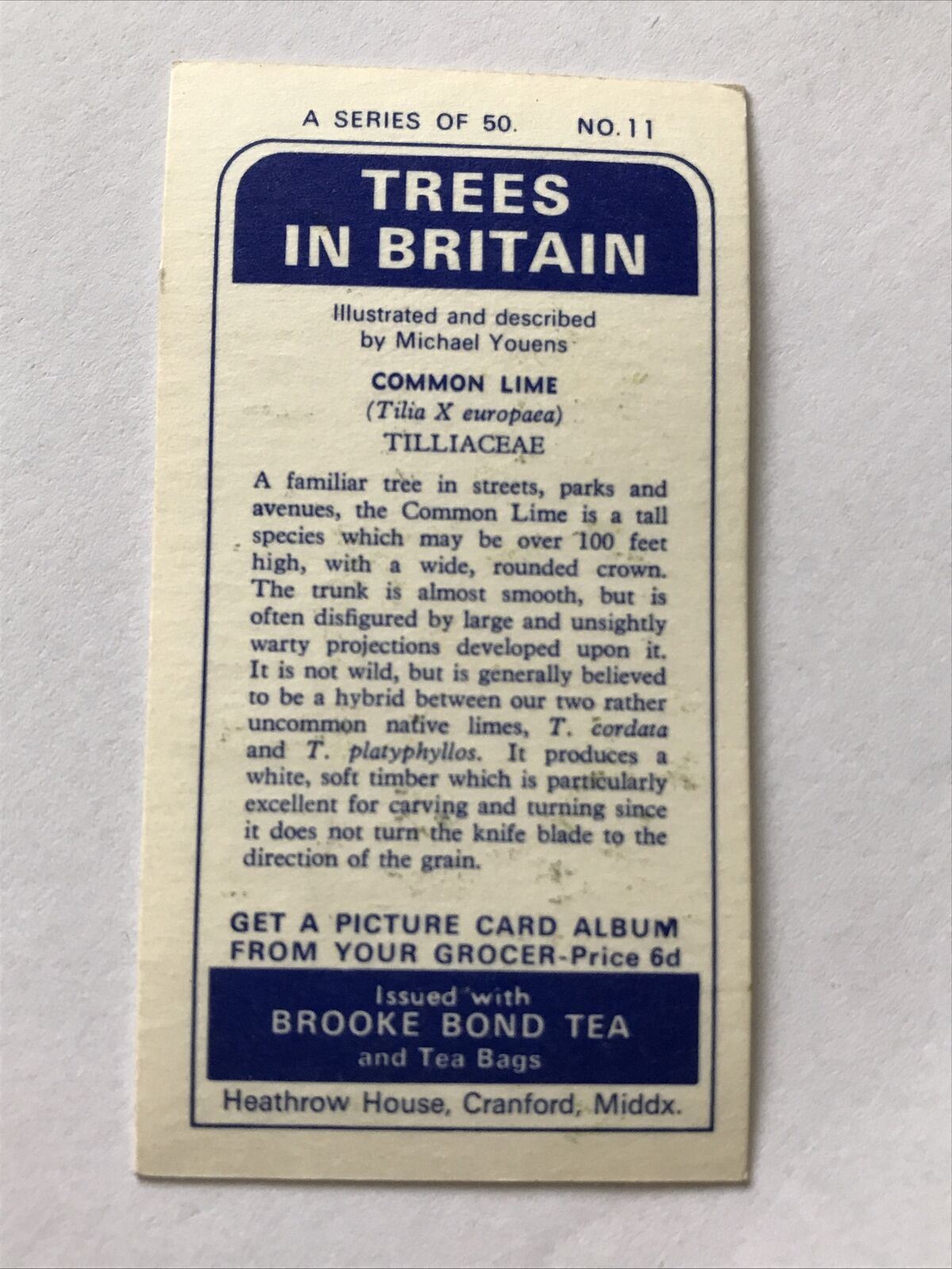 Brooke Bond Tea Card Trees In Britain No 11 Common Lime 1960s Collectable