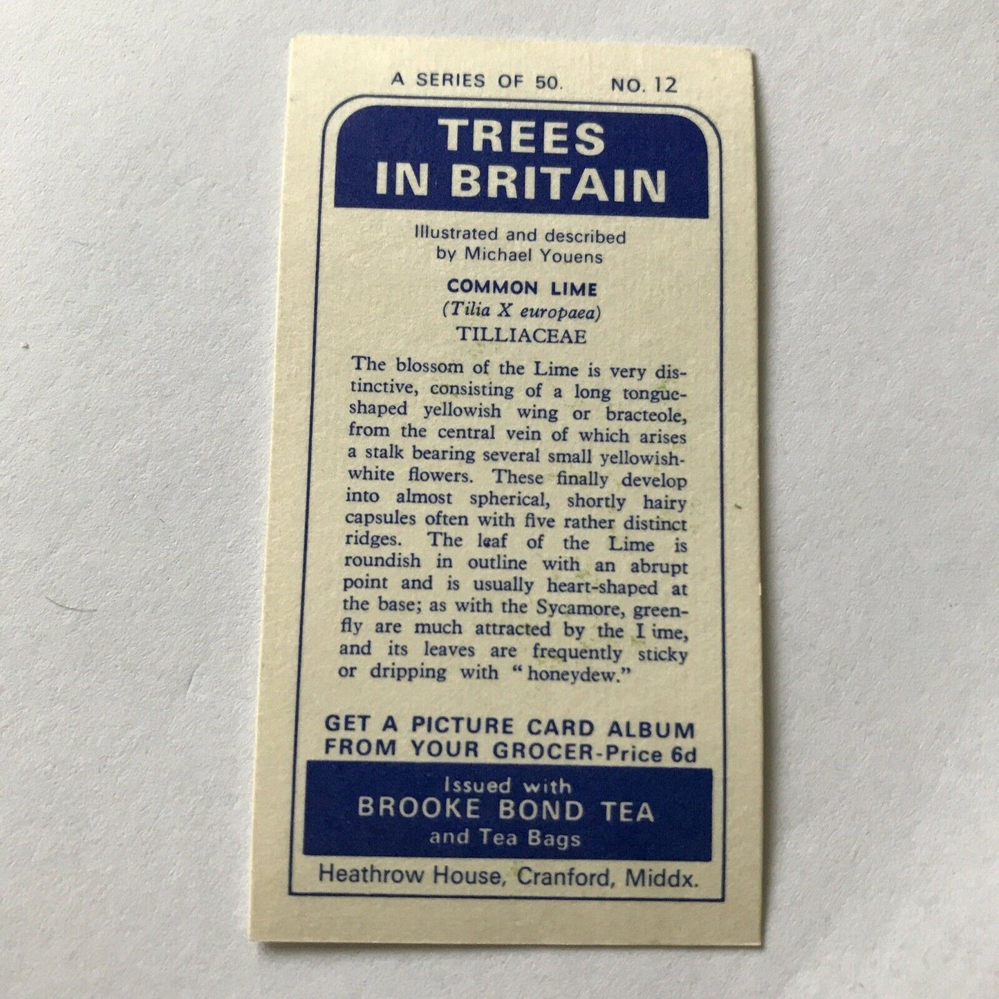 Brooke Bond Tea Card Trees In Britain No 12 Common Lime 1960s Flowers & Berries