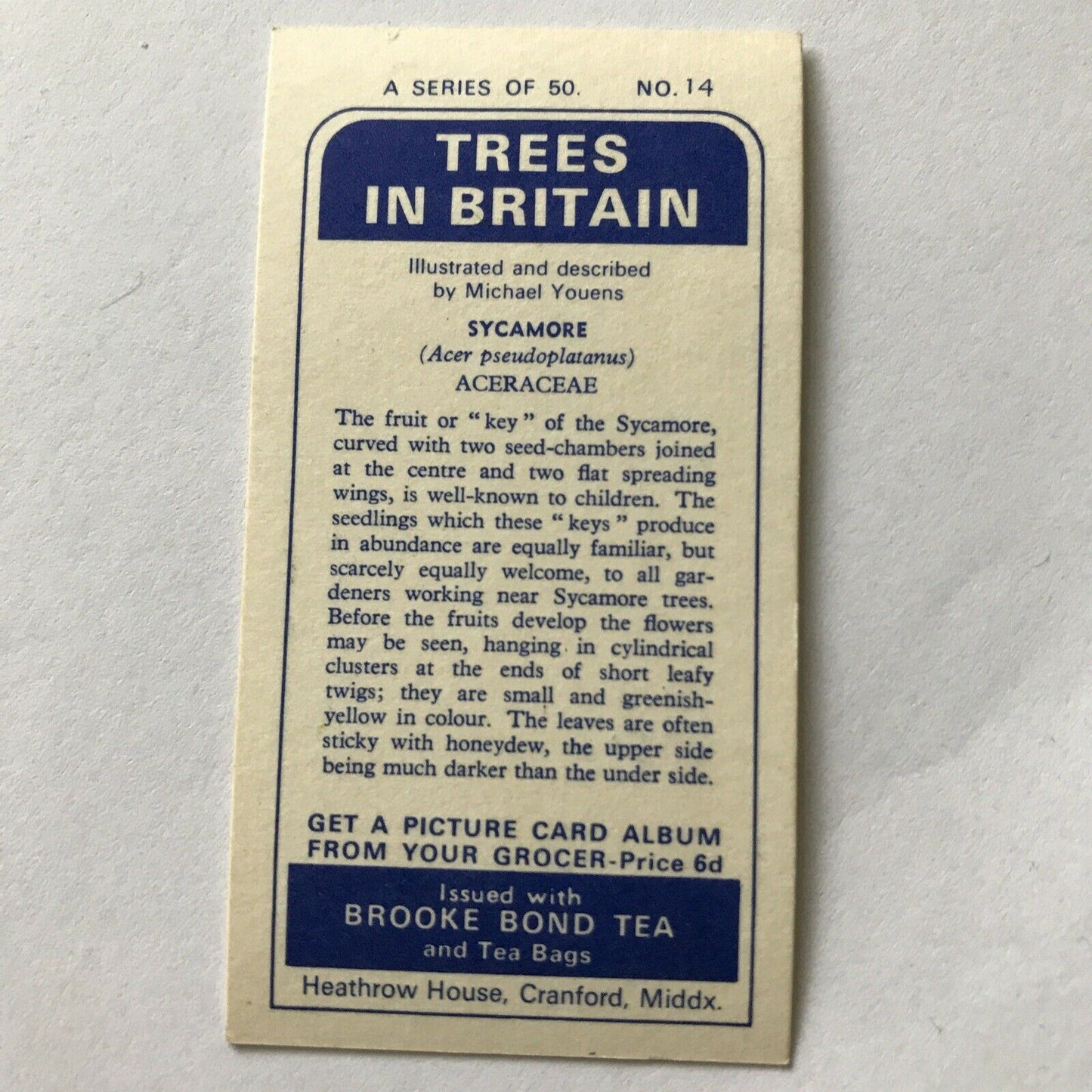 Brooke Bond Tea Card Trees In Britain No 14 Sycamore 1960s Collectable