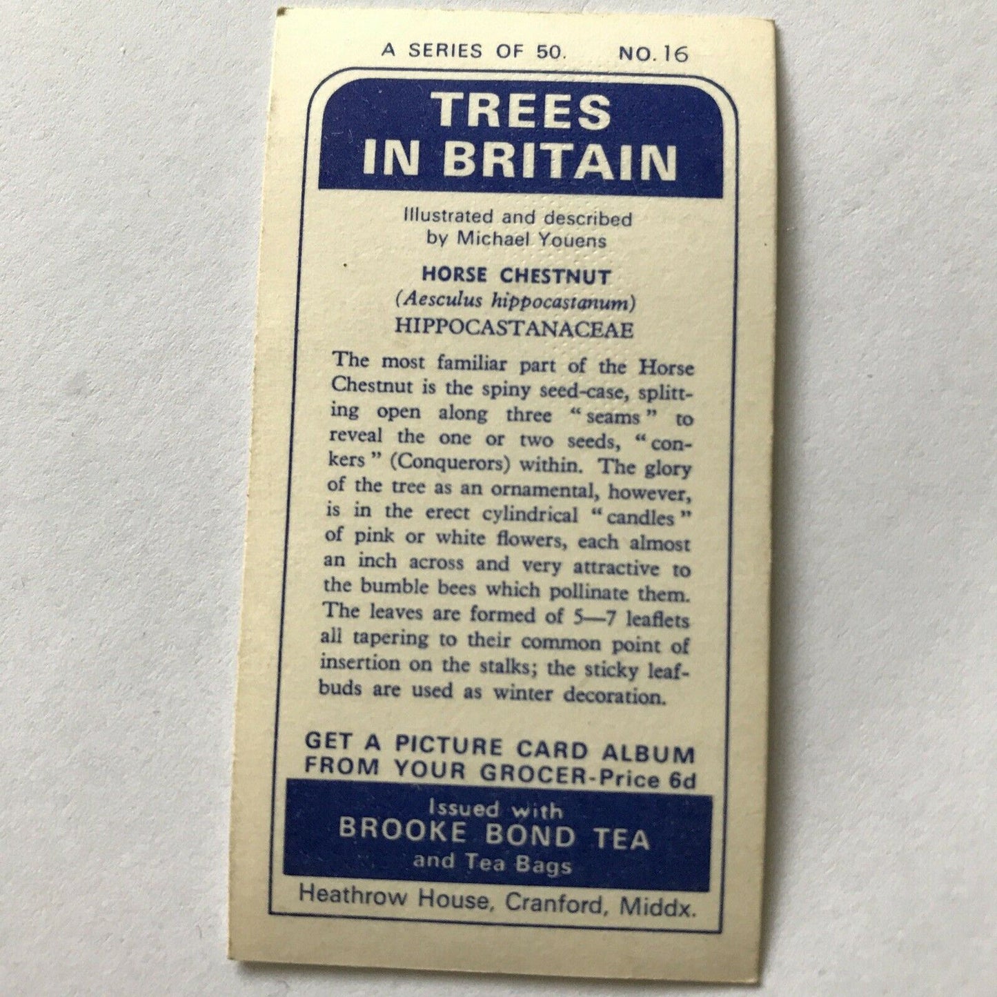 Brooke Bond Tea Card Trees In Britain No 16 Horse Chestnut 1960s Collectable