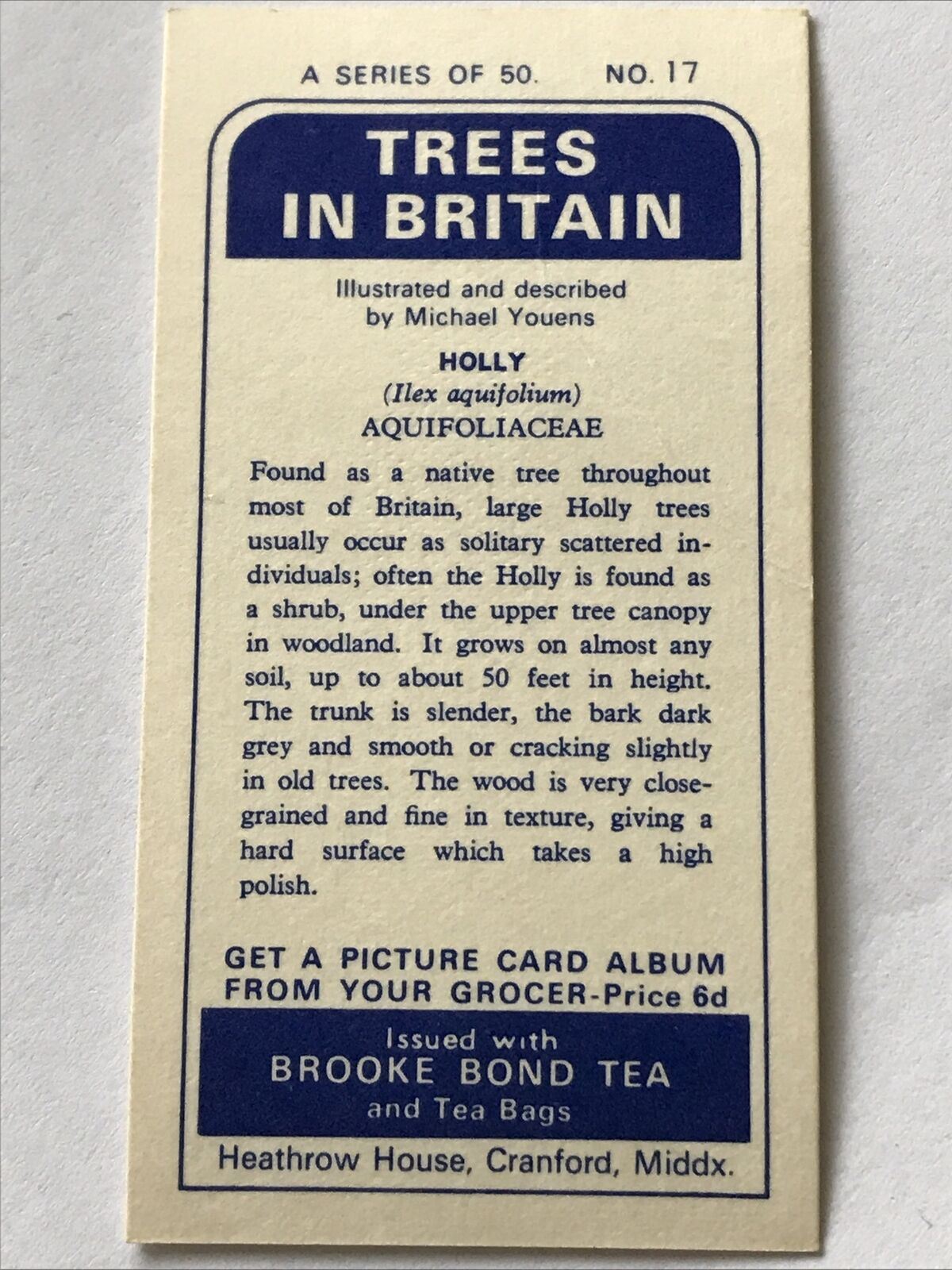 Brooke Bond Tea Card Trees In Britain No 17 Holly 1960s Collectable