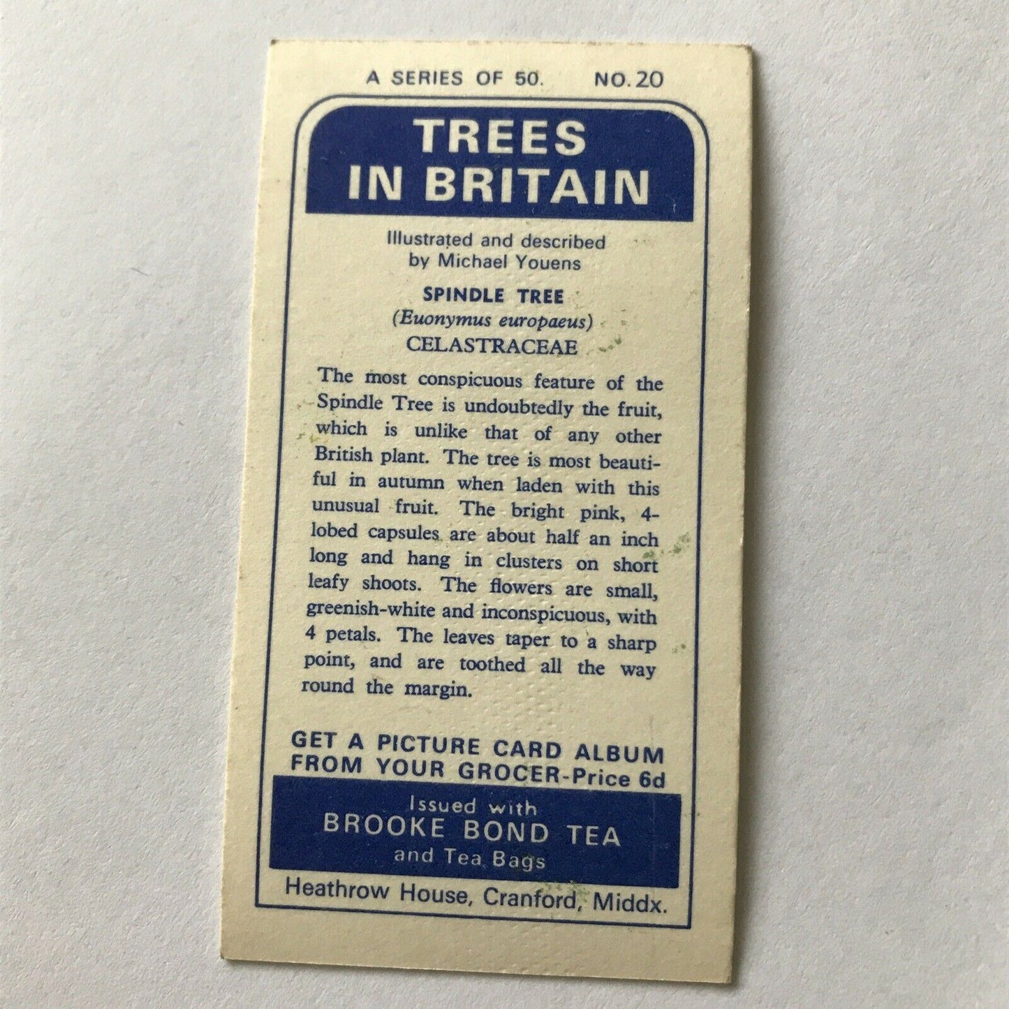 Brooke Bond Tea Card Trees In Britain No 20 Spindle Tree 1960s