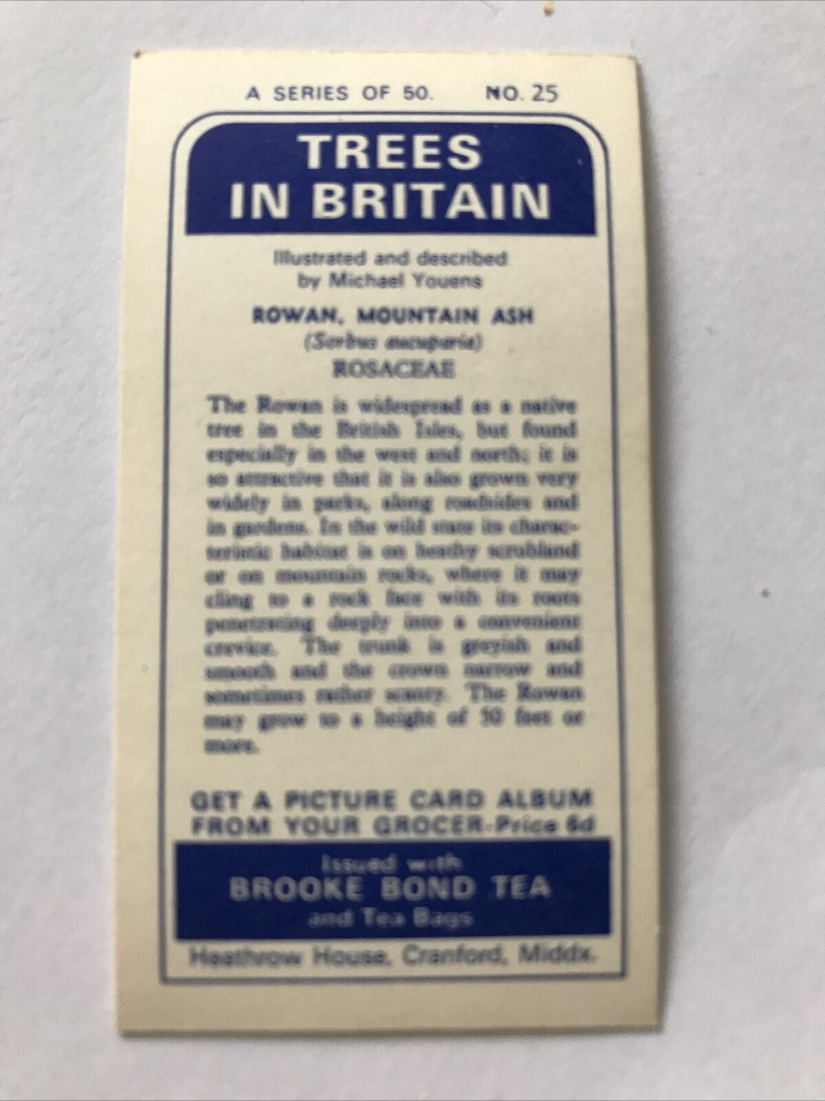 Brooke Bond Tea Card Trees In Britain No 25 Rowan Mountain Ash 1960s Collectable