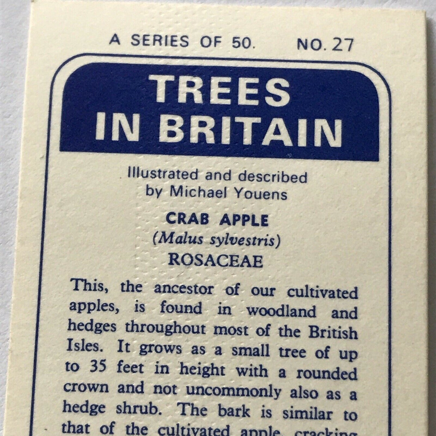 Brooke Bond Tea Card Trees In Britain No 27 Crab Apple 1960s Collectable