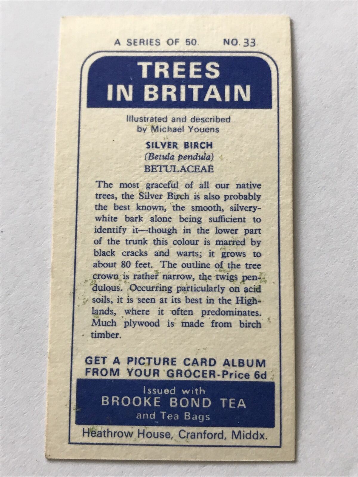 Brooke Bond Tea Card Trees In Britain No 33 Silver Birch 1960s Collectable