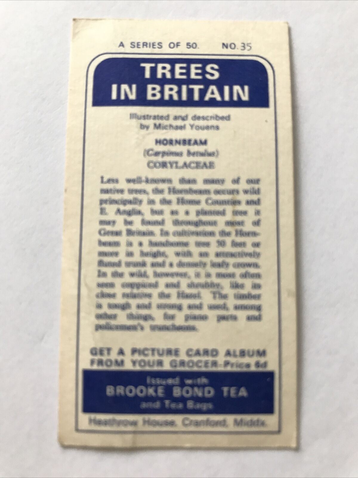 Brooke Bond Tea Card Trees In Britain No 35 Hornbeam 1960s Collectable