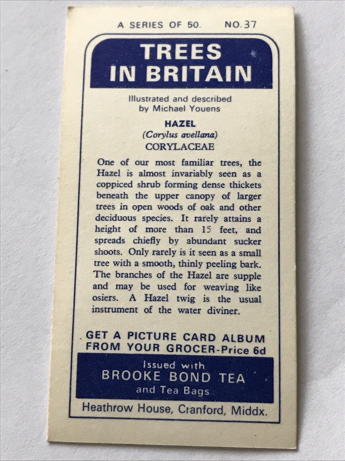 Brooke Bond Tea Card Trees In Britain No 37 Hazel 1960s Collectable