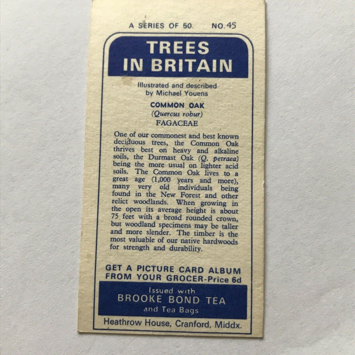 Brooke Bond Tea Card Trees In Britain No 45 Common Oak 1960s