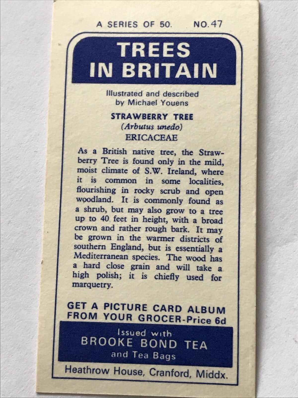 Brooke Bond Tea Card Trees In Britain No 47 Strawberry Tree 1960s Collectable