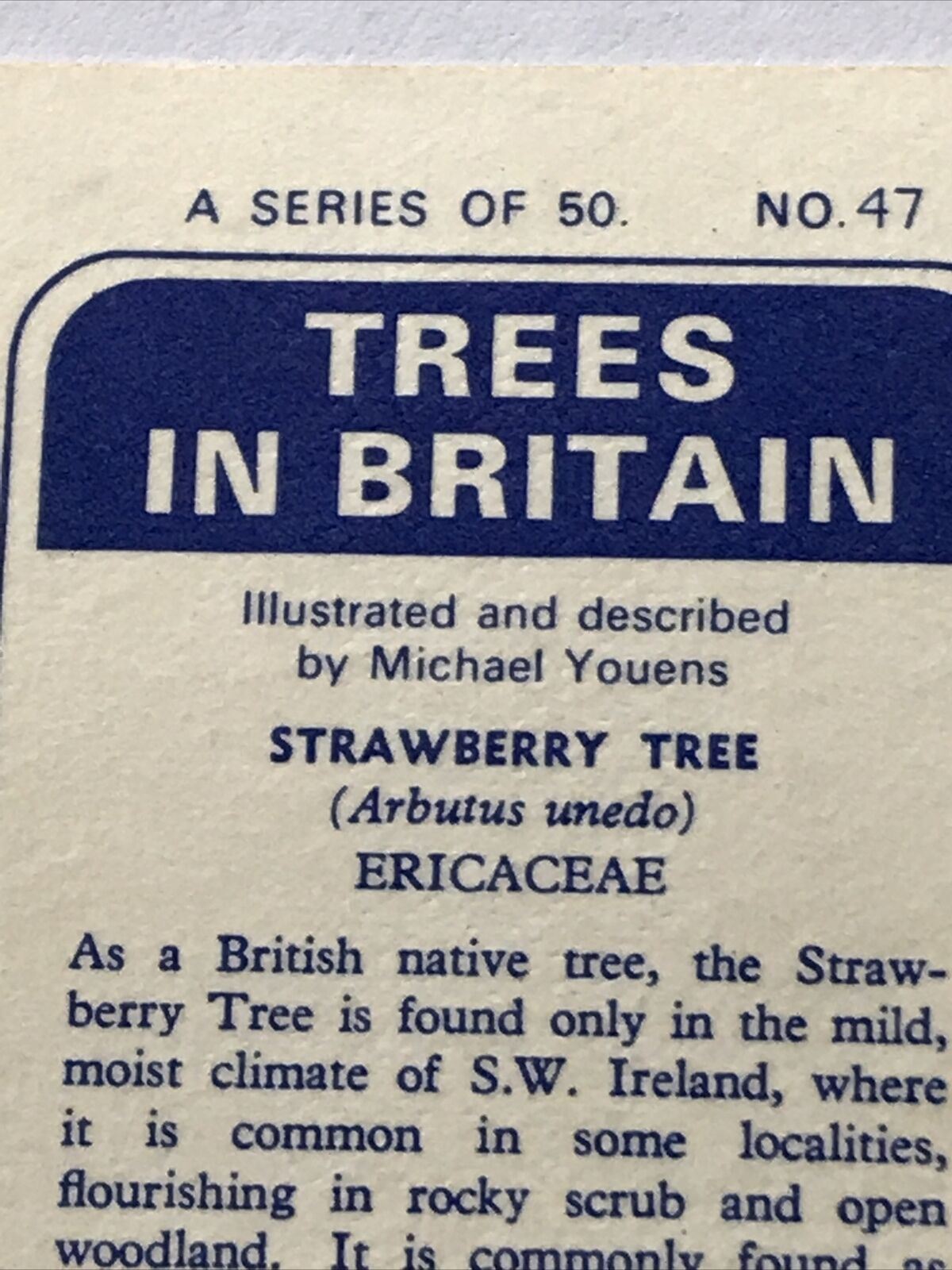 Brooke Bond Tea Card Trees In Britain No 47 Strawberry Tree 1960s Collectable