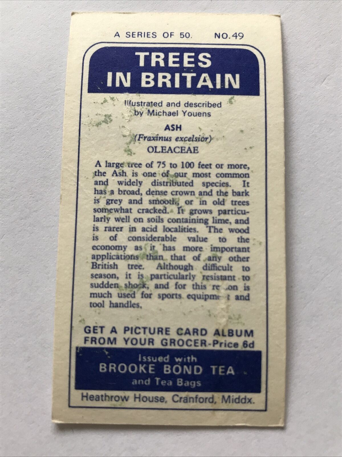 Brooke Bond Tea Card Trees In Britain No 49 Ash 1960s Collectable