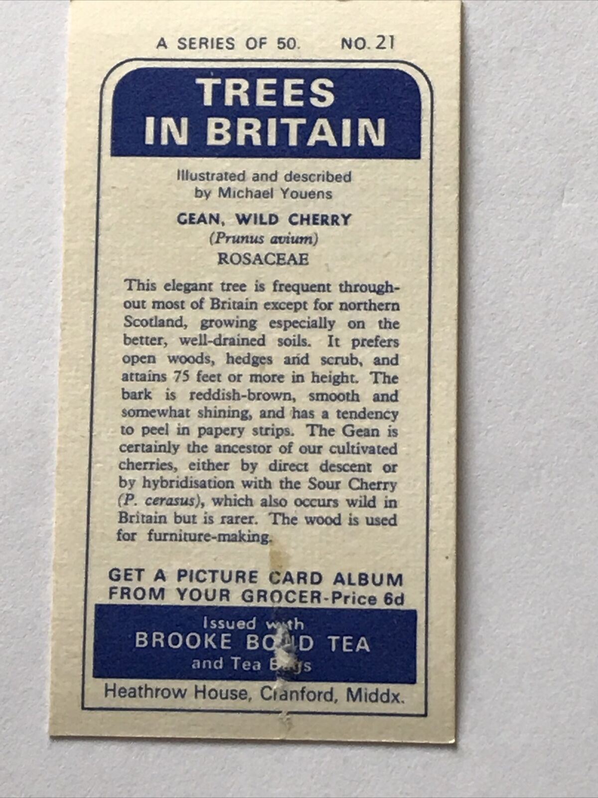 Brooke Bond Tea Card 'Trees In Britain' No 21 Wild Cherry 1960s Collectable