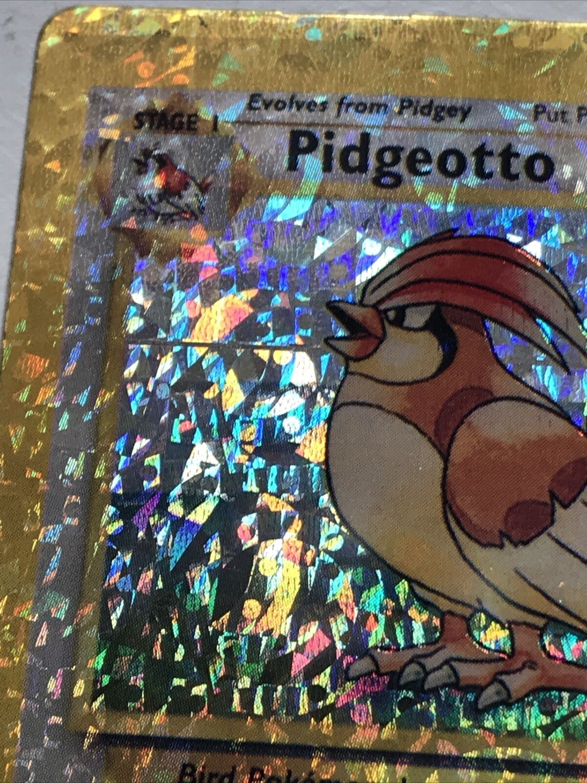 Pokemon Vending Sticker Unused 1999 22/102 Pidgeotto RARE HOLO stage 1 near mint