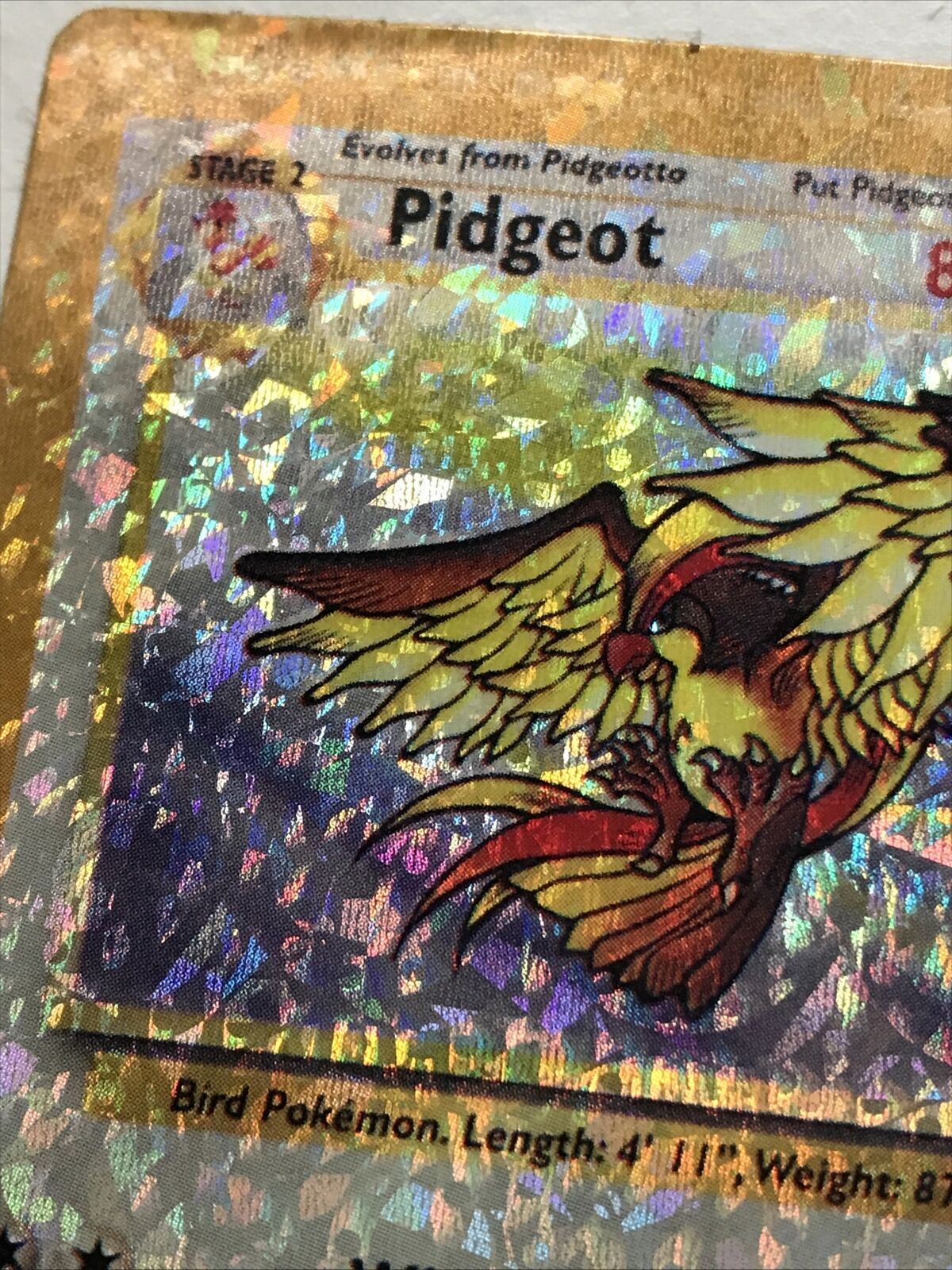 Pokemon Vending Sticker Unused 1999 24/64 Pidgeot RARE HOLO jungle near mint