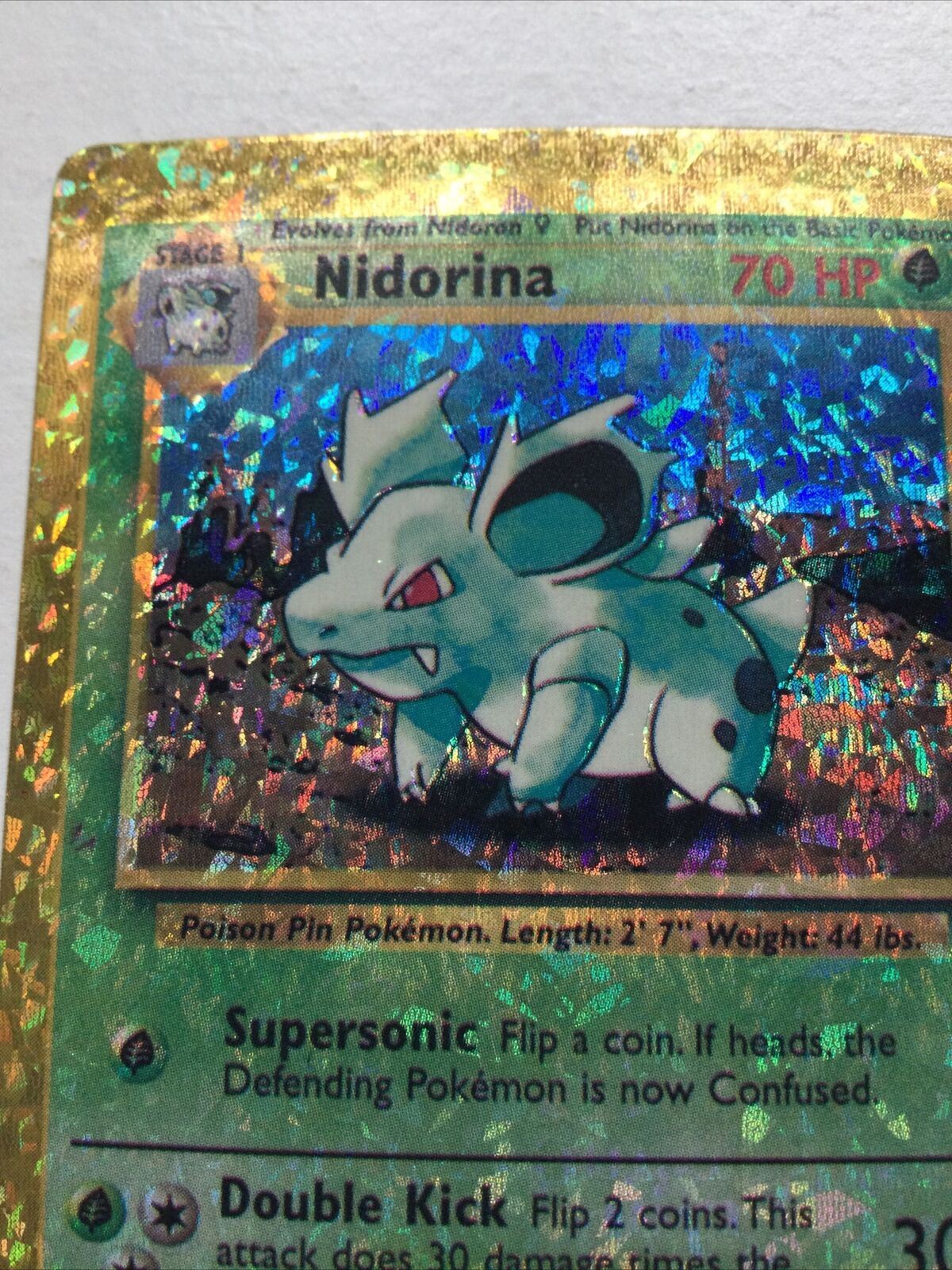 Pokemon vending sticker unused 1999 40/64 Nidorina HOLO jungle NEAR MINT