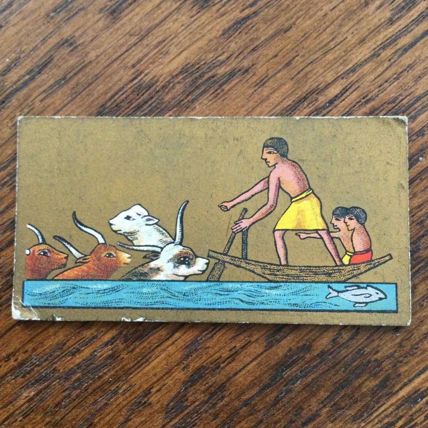 Cavanders Cigarette Card Ancient Egypt No. 8 Cattle In The Nile