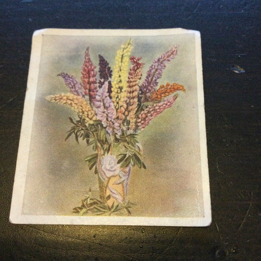 Godfrey Phillips Cigarette Card Flower Studies Lupins no.24