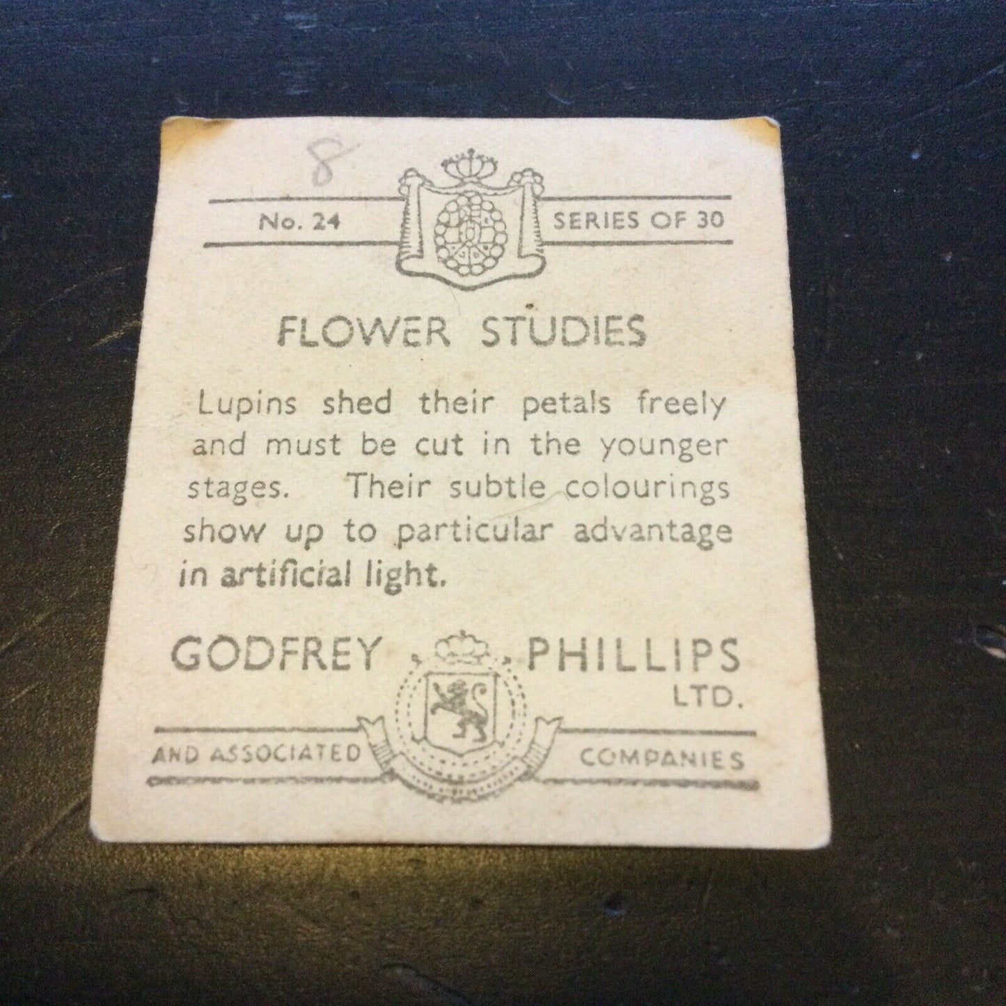 Godfrey Phillips Cigarette Card Flower Studies Lupins no.24