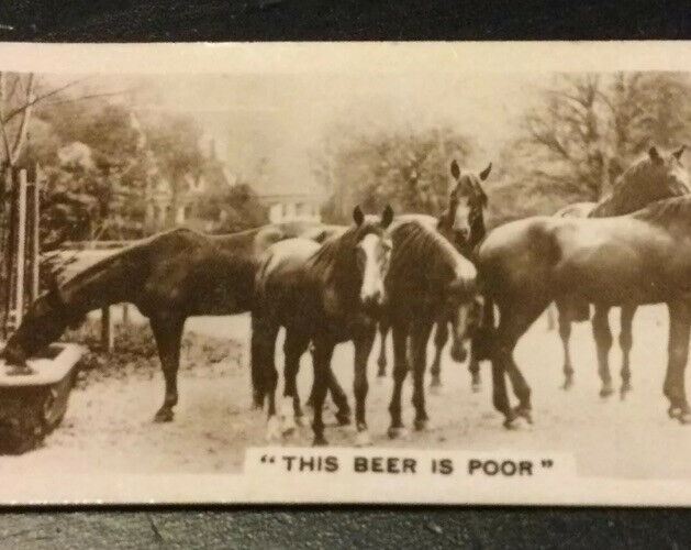 Millhoff Cigarette Cards Series 3 No.1 This Beer Is Poor. Horses. Photogram.