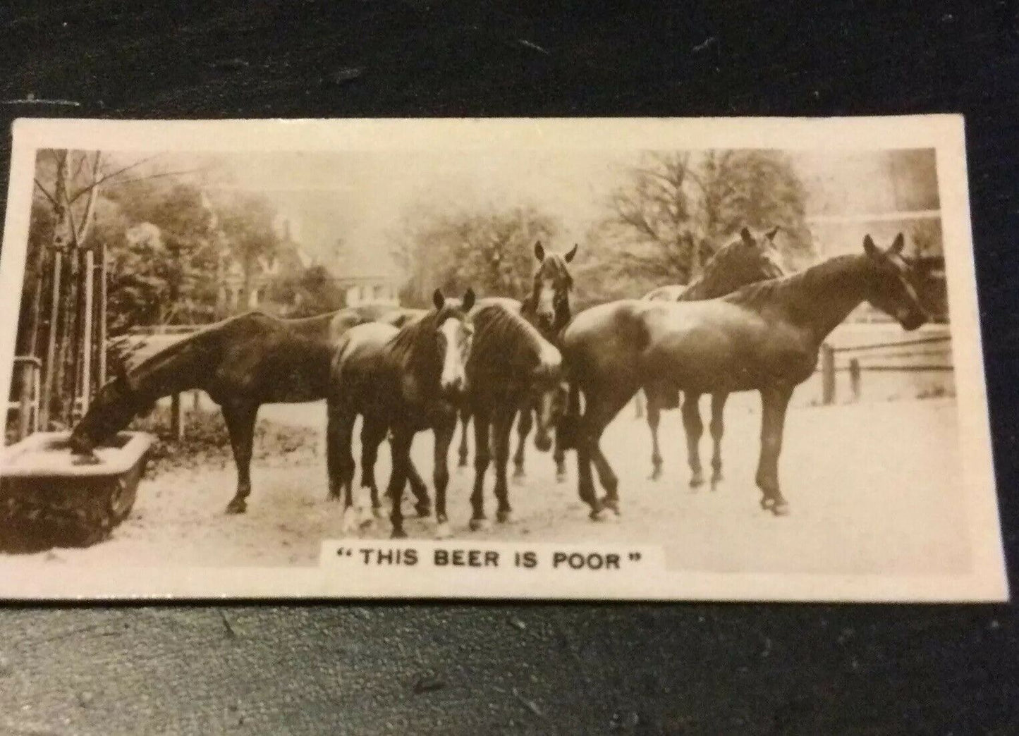 Millhoff Cigarette Cards Series 3 No.1 This Beer Is Poor. Horses. Photogram.