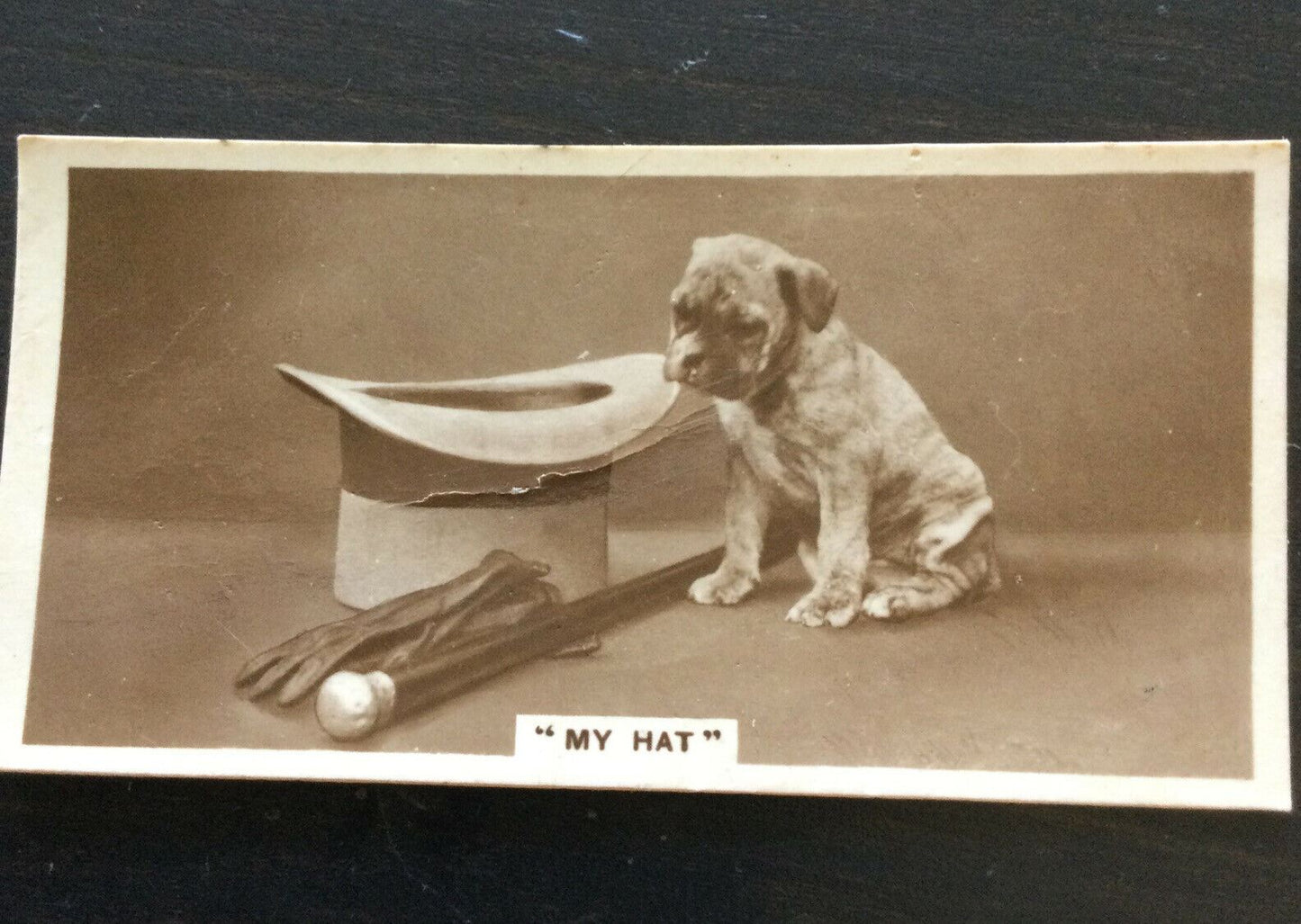 Millhoff Cigarette Card Series 3 no.7 photo My Hat. Cute dog Top Hat gloves cane